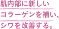 肌内部に新しいコラーゲンを補い、シワを改善する。
