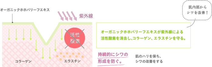 オーガニックホホバリーフエキス