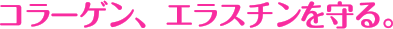 コラーゲン、エラスチンを守る。
