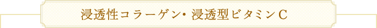 浸透性コラーゲン・浸透型ビタミンC