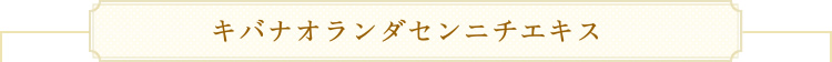 キバナオランダセンニチエキス